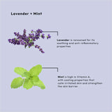 BCL Spa - Lavender + Mint - Sugar Scrub 16oz